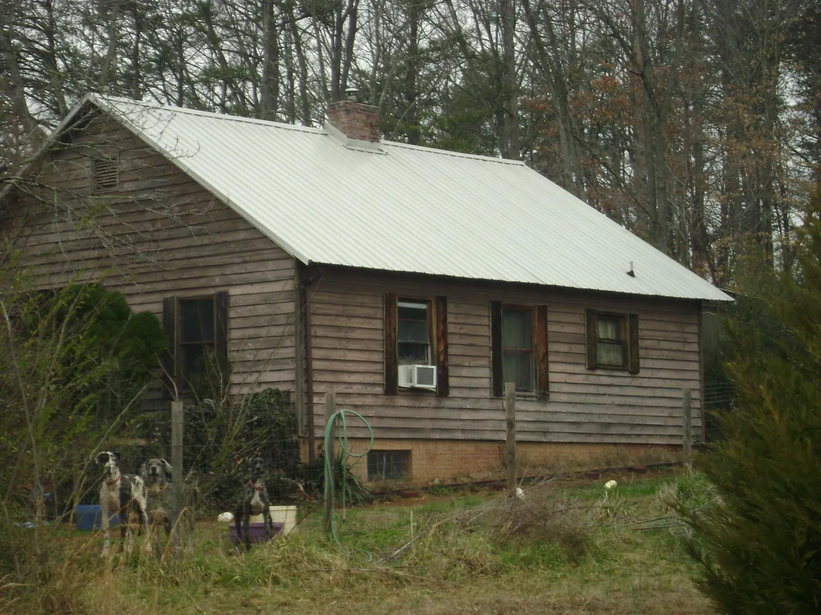 White metal roof on an old wood sided farmhouse, from a Asphalt Shingle Roof Repair job in Lawtell